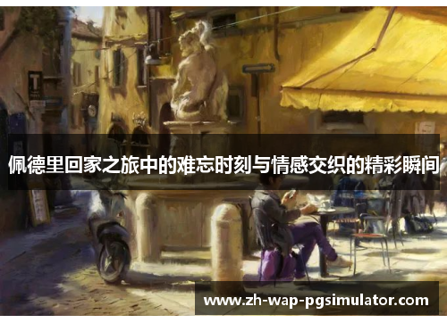 佩德里回家之旅中的难忘时刻与情感交织的精彩瞬间