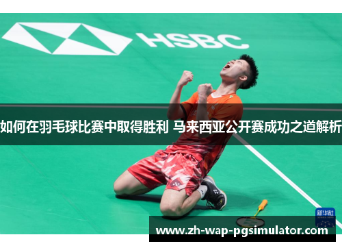 如何在羽毛球比赛中取得胜利 马来西亚公开赛成功之道解析