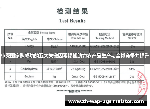 小麦国家队成功的五大关键因素揭秘助力农产品生产与全球竞争力提升