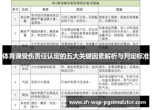 体育课受伤责任认定的五大关键因素解析与判定标准
