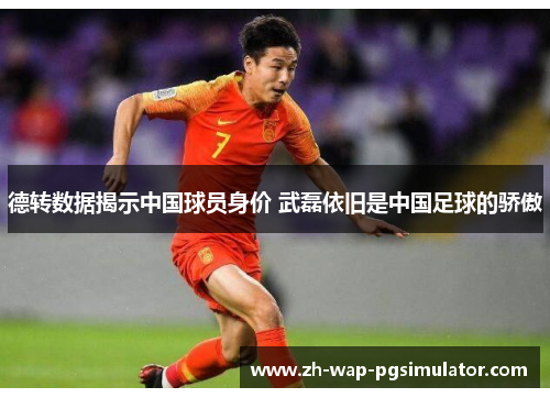 德转数据揭示中国球员身价 武磊依旧是中国足球的骄傲