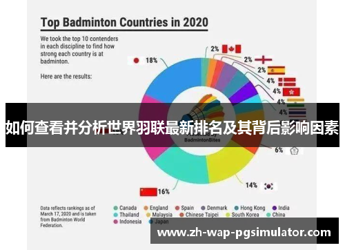 如何查看并分析世界羽联最新排名及其背后影响因素