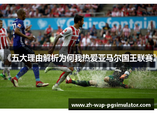 《五大理由解析为何我热爱亚马尔国王联赛》