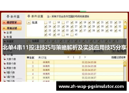 北单4串11投注技巧与策略解析及实战应用技巧分享