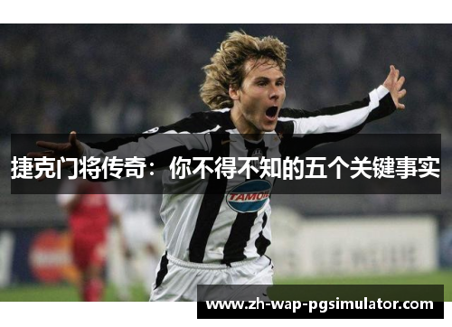 捷克门将传奇：你不得不知的五个关键事实