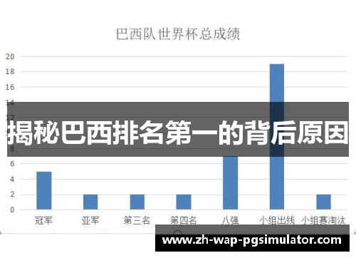 揭秘巴西排名第一的背后原因