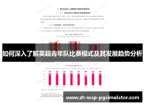 如何深入了解英超青年队比赛模式及其发展趋势分析