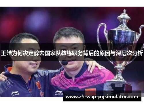 王皓为何决定辞去国家队教练职务背后的原因与深层次分析