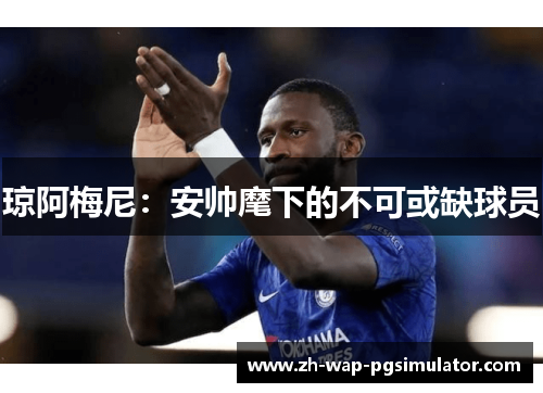 琼阿梅尼：安帅麾下的不可或缺球员