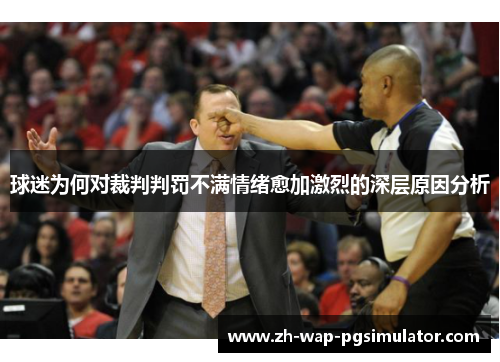 球迷为何对裁判判罚不满情绪愈加激烈的深层原因分析