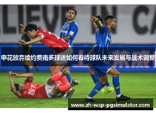申花放弃续约费南多球迷如何看待球队未来发展与战术调整