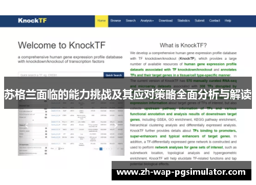 苏格兰面临的能力挑战及其应对策略全面分析与解读