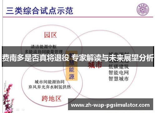 费南多是否真将退役 专家解读与未来展望分析