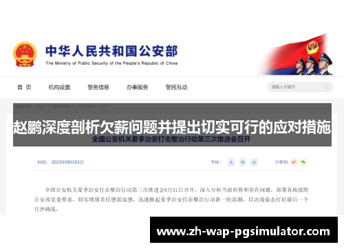 赵鹏深度剖析欠薪问题并提出切实可行的应对措施