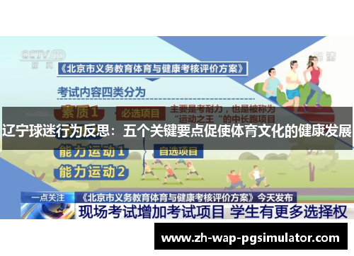 辽宁球迷行为反思：五个关键要点促使体育文化的健康发展