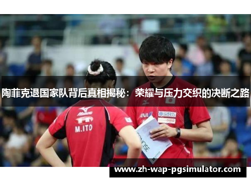 陶菲克退国家队背后真相揭秘：荣耀与压力交织的决断之路