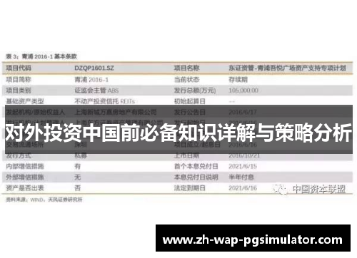 对外投资中国前必备知识详解与策略分析