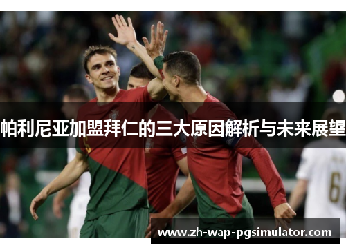 帕利尼亚加盟拜仁的三大原因解析与未来展望