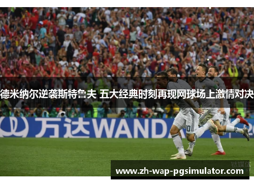 德米纳尔逆袭斯特鲁夫 五大经典时刻再现网球场上激情对决 德米纳尔逆袭斯特鲁夫 五大经典时刻再现网球场上激情对决