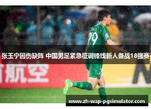 张玉宁因伤缺阵 中国男足紧急征调锋线新人备战18强赛 张玉宁因伤缺阵 中国男足紧急征调锋线新人备战18强赛