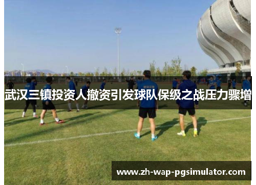 武汉三镇投资人撤资引发球队保级之战压力骤增 武汉三镇投资人撤资引发球队保级之战压力骤增